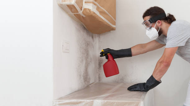 Professional Attic Mold Removal technician working in Woodbine, MD