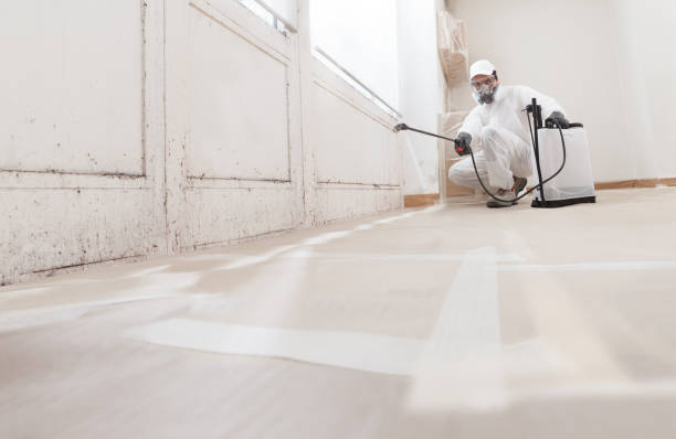 24/7 Emergency Attic Mold Removal experts in Woodbine, MD